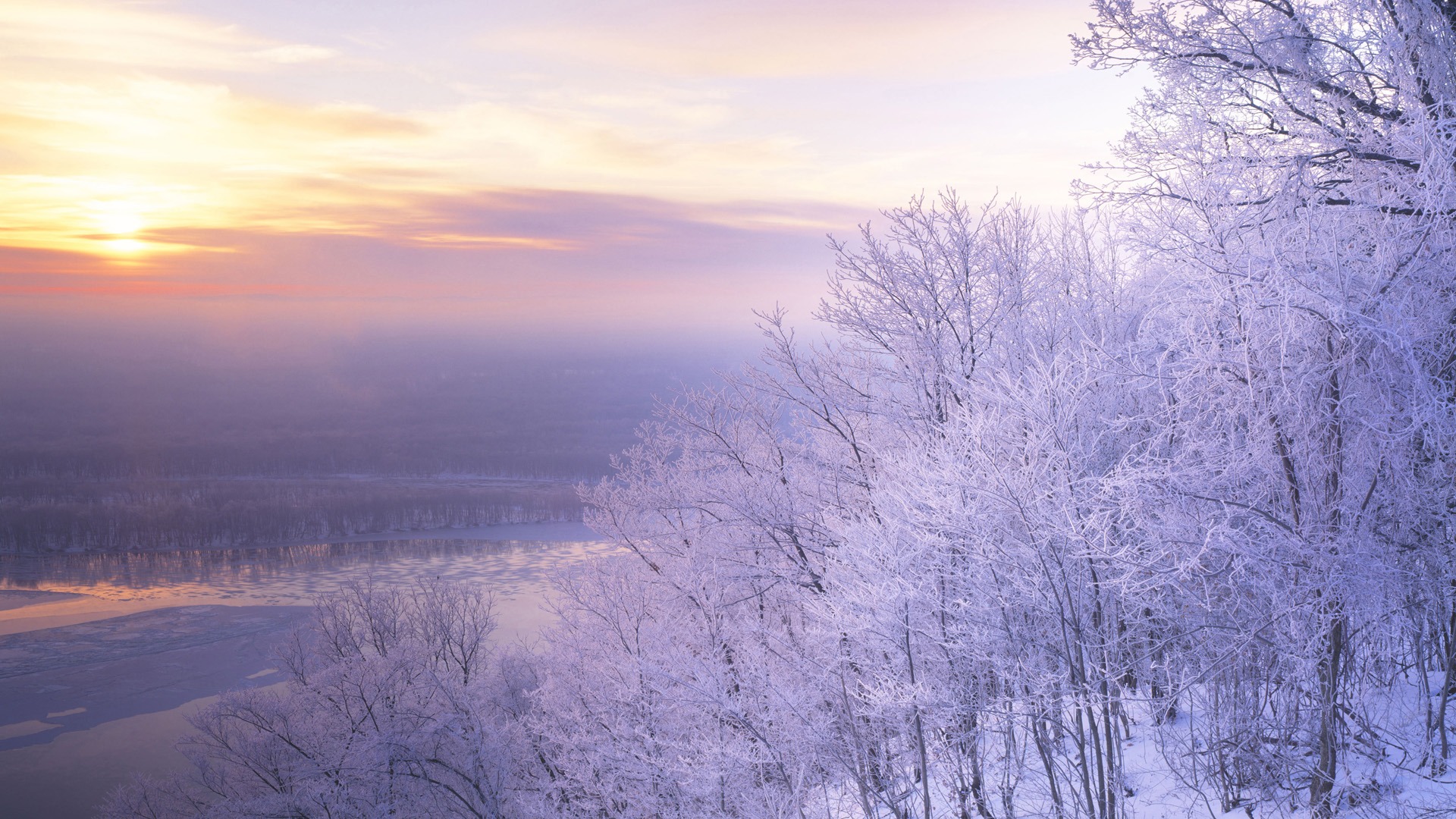 冬の雪の風景のhdの壁紙プレビュー 10wallpaper Com