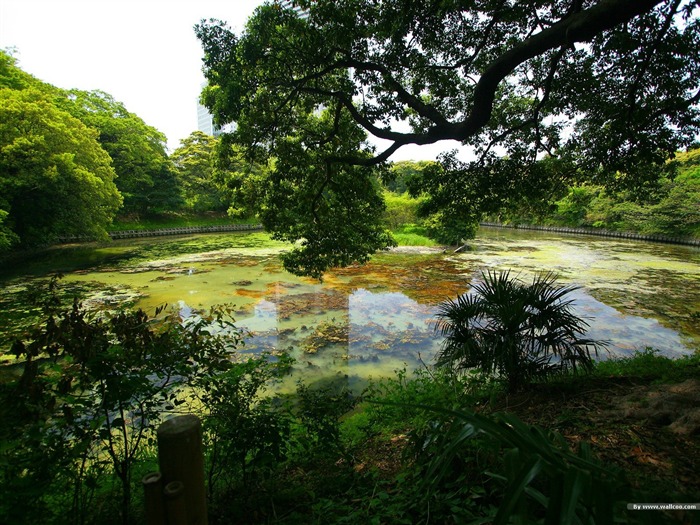 サイレント庭 日本庭園の芸術の風景の壁紙アルバムリスト ページ 1 10wallpaper Com